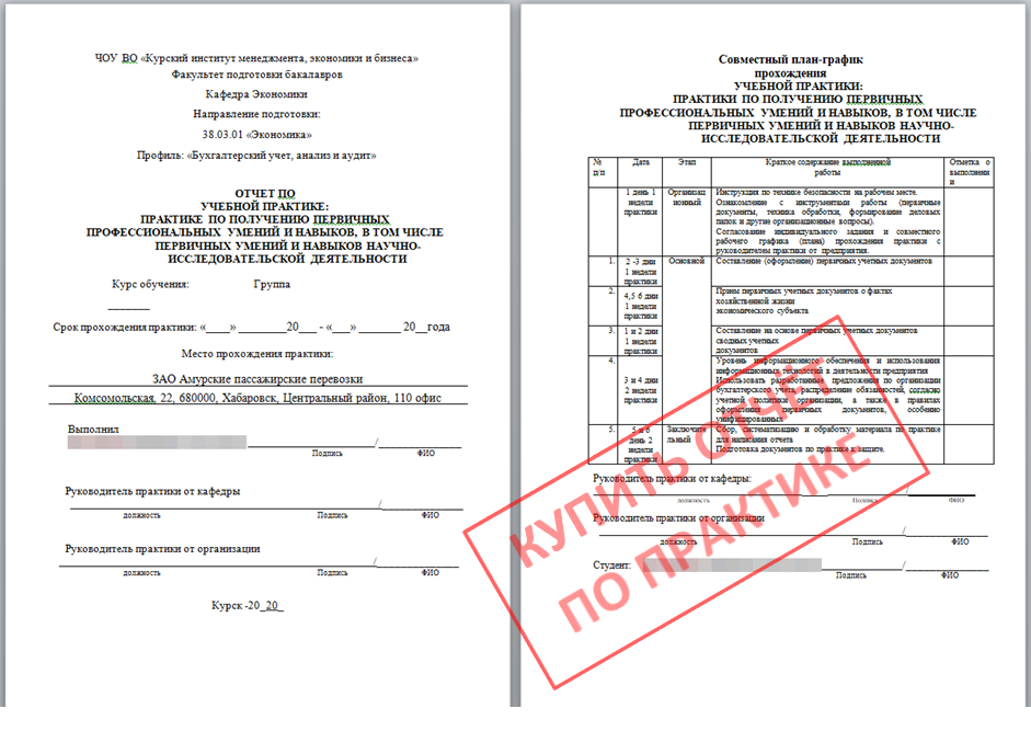 Ревизия кассы: порядок проведения и оформление