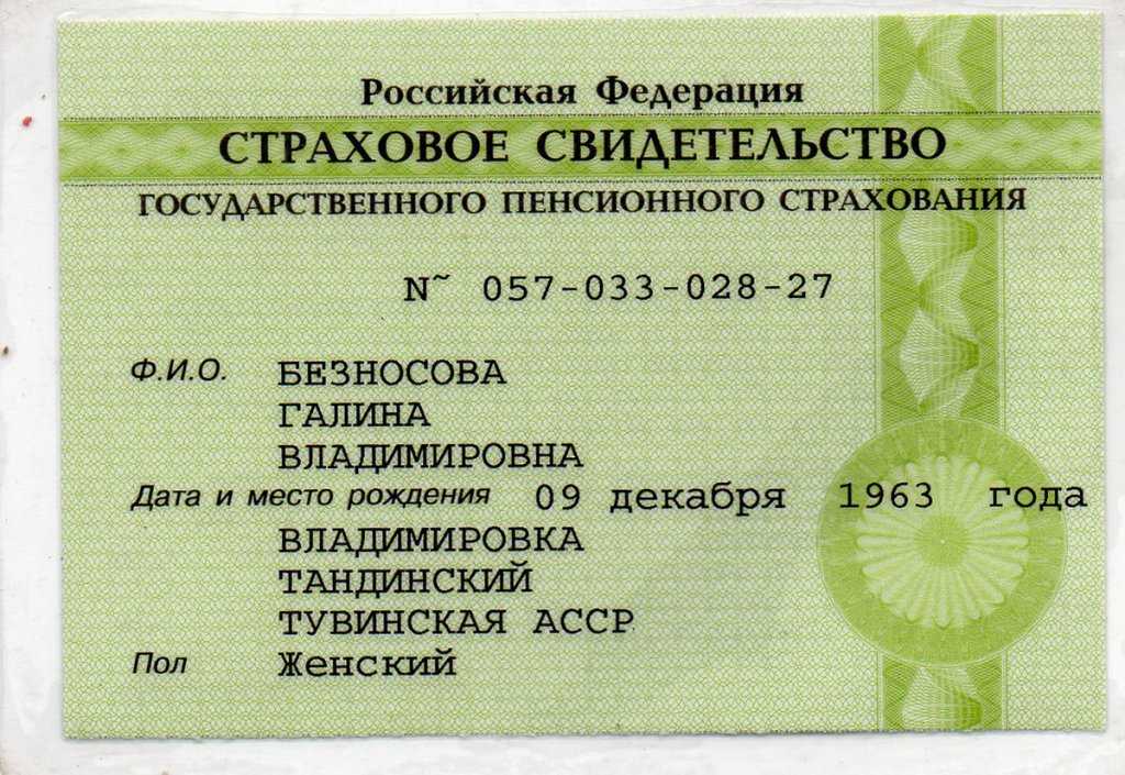 Снилс. как он выглядит и как его правильно оформить