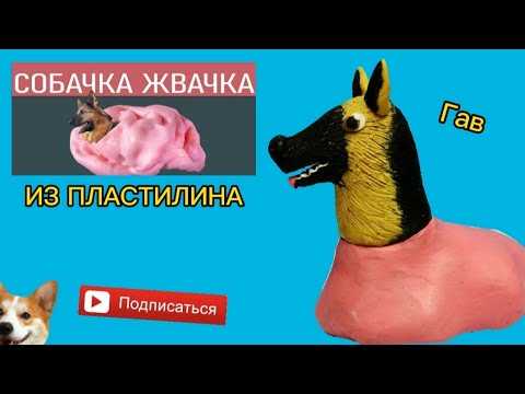 Презентация на тему "история происхождения "электронной собачки"" по информатике для 7 класса
