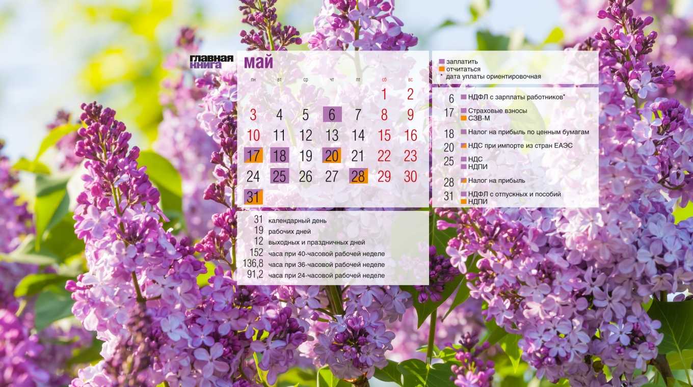 Что изменится в работе бухгалтера и кадровика в 2024 году