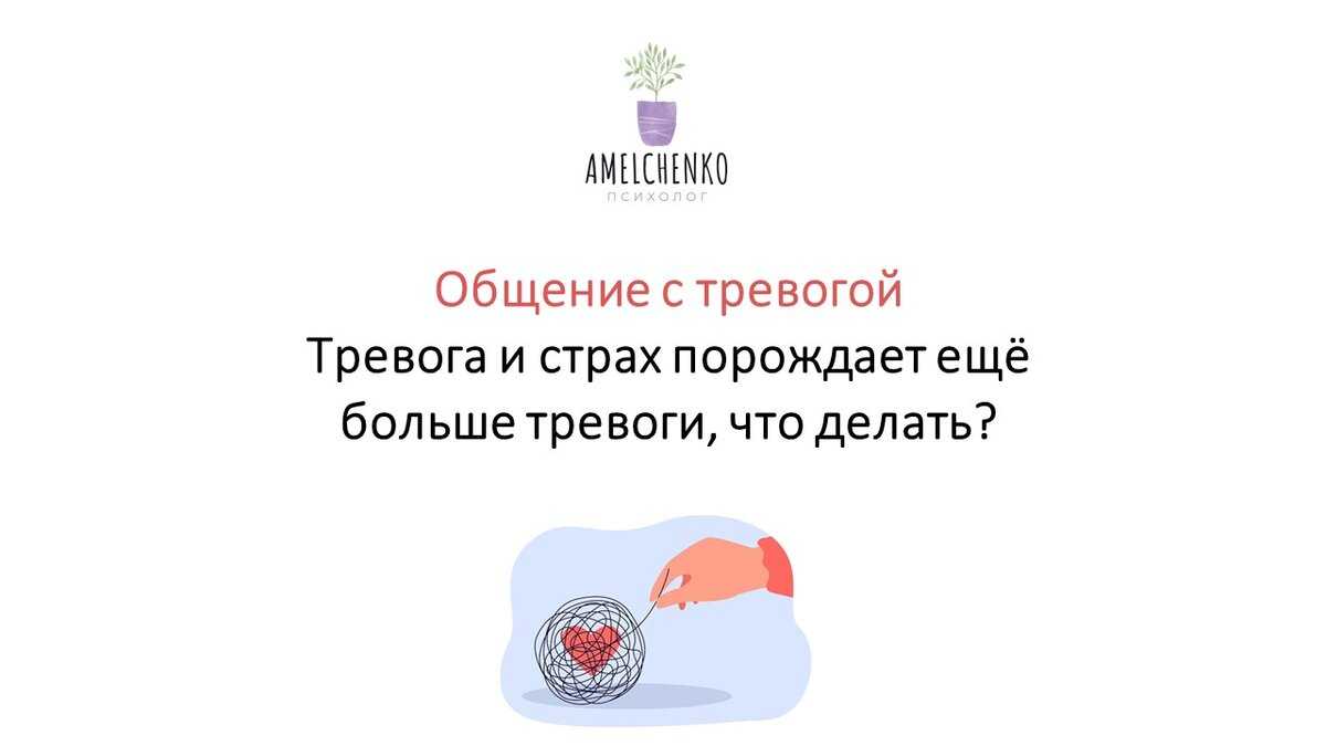 Семинар налоги без страха 2024. незнание порождает страх