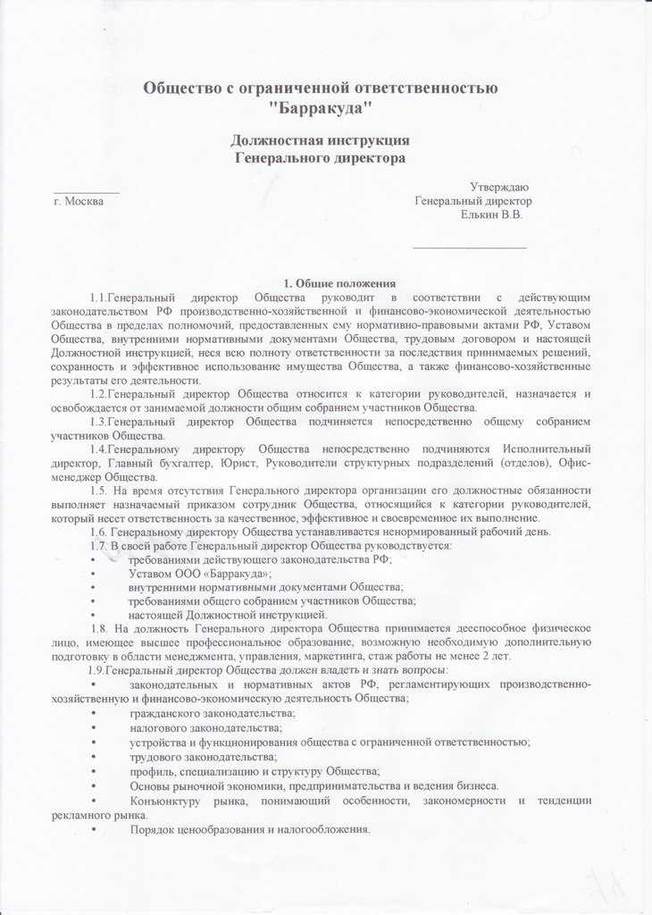 Должностная инструкция генерального директора  скачать образец бесплатно
