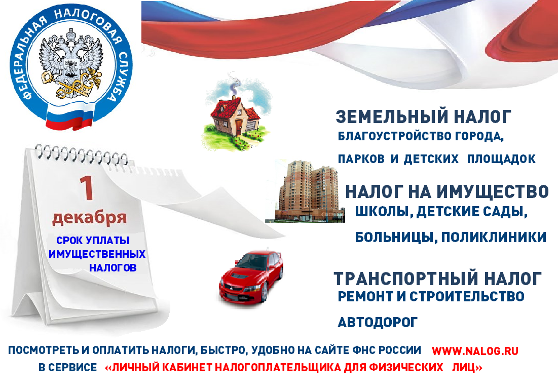 Имущественные налоги организаций. что изменится с 2024 года