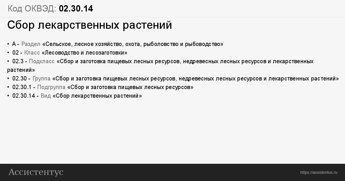 Не только штрафы: чем грозят бизнесу неактуальные коды оквэд?