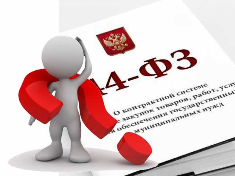 Различия между 44 фз и 223 фз в 2024 году
