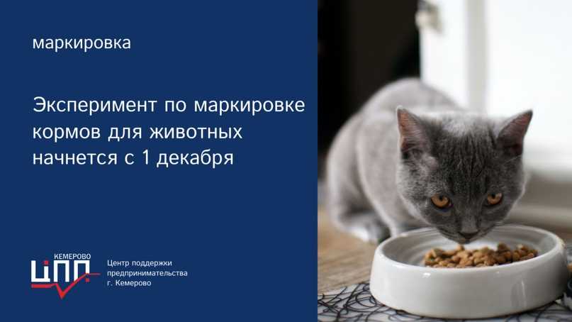 Приказ минсельхоза рф от 03.11.2023 n 832 — редакция от 03.11.2023 — контур.норматив