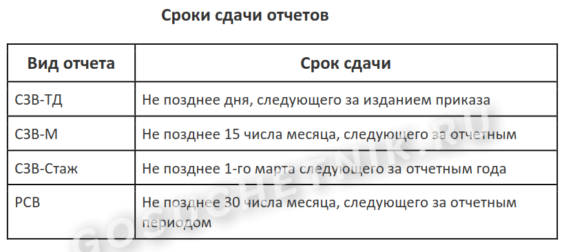 Рсв за 3 квартал 2024 года