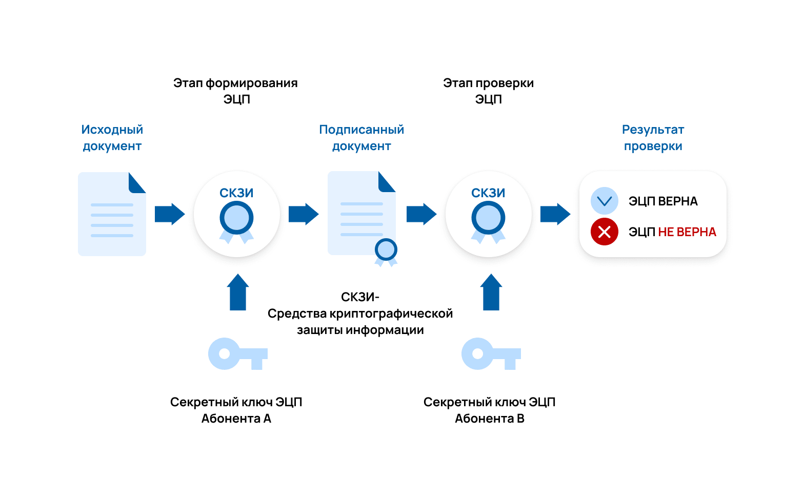 Успейте оформить сертификат электронной подписи на сотрудника организации до 31 августа 2023 года