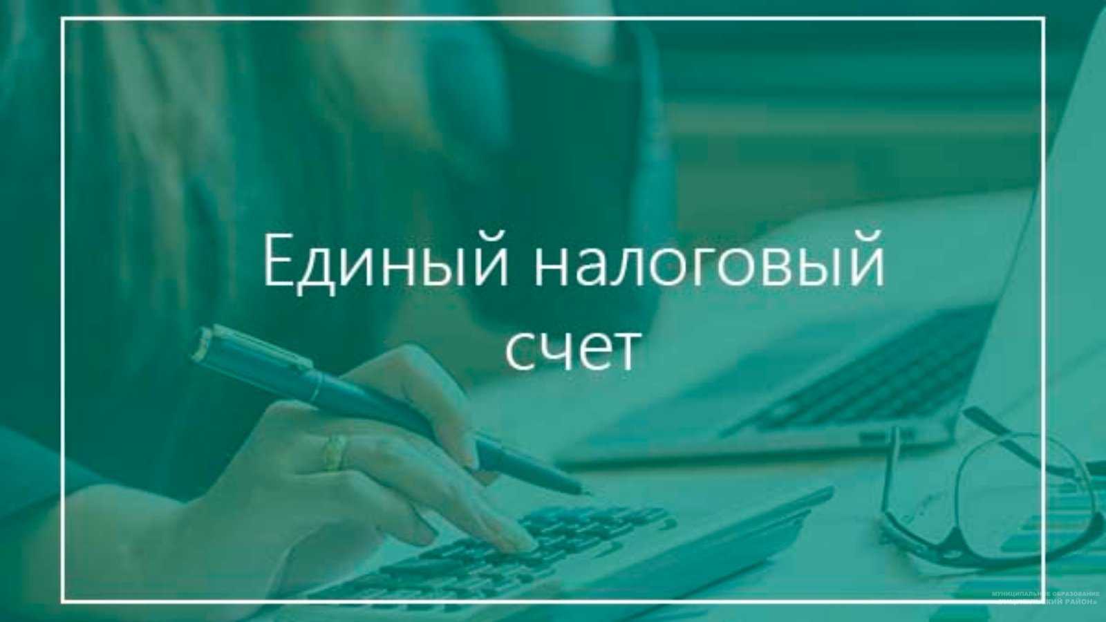 Учет расчетов на енс с 2024 года в бп 3.0