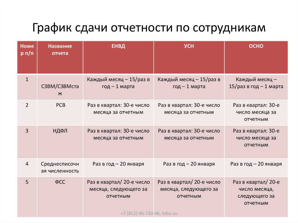 Новые формы бухгалтерской отчетности в 2024 годах