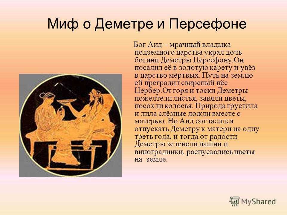 Чем занимается бухгалтер
