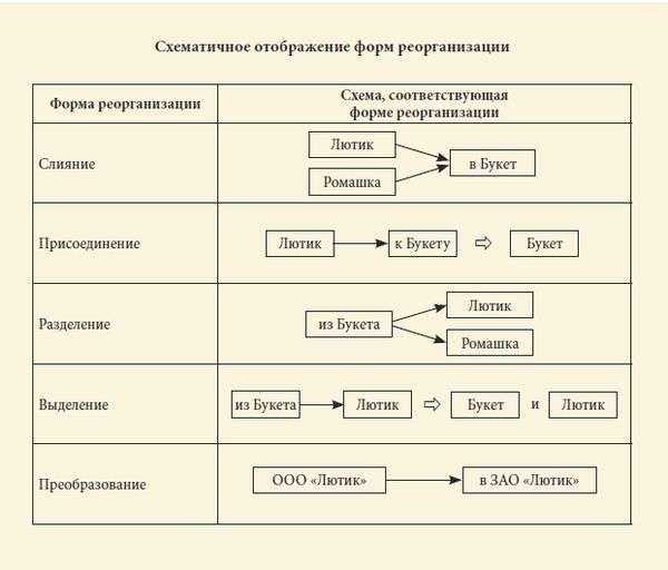 Пошаговая инструкция по реорганизации в форме присоединения ооо к ооо