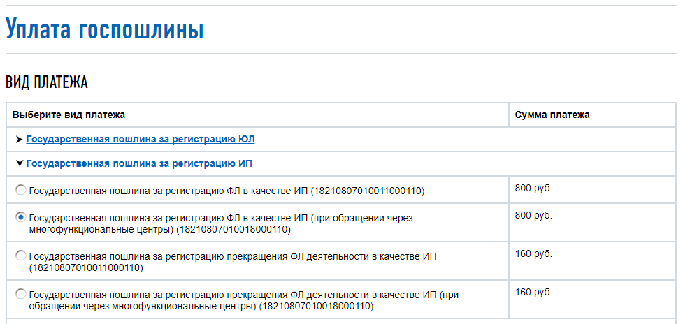 Быстрая регистрация ип через мфц, необходимые документы, частые ошибки + что делать после регистрации деятельности
