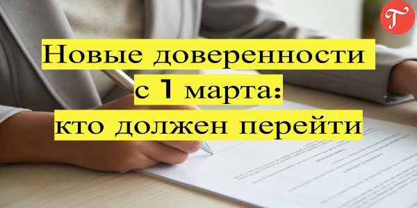 Какую отчётность должны сдавать ооо: список и сроки сдачи в 2024 году