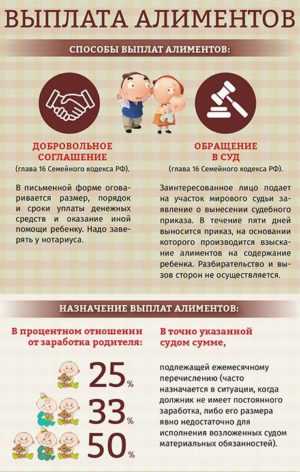 Как платят алименты самозанятые граждане на ребенка в 2024 году