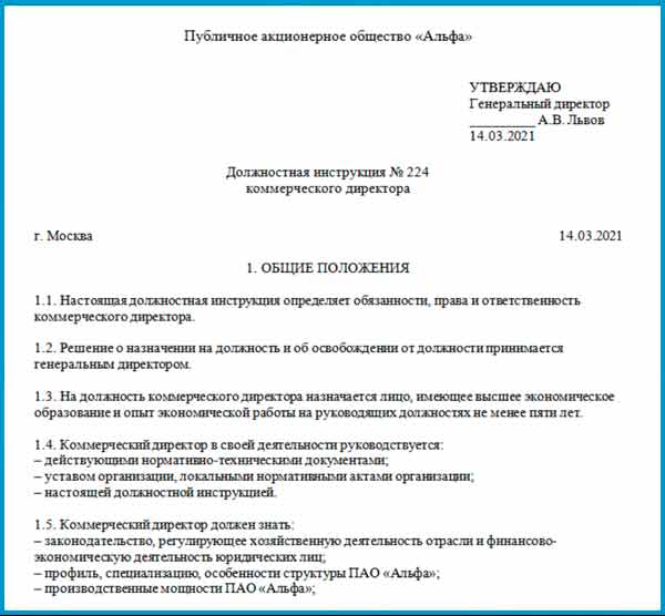 Образец должностной инструкции коммерческого директора (2024)