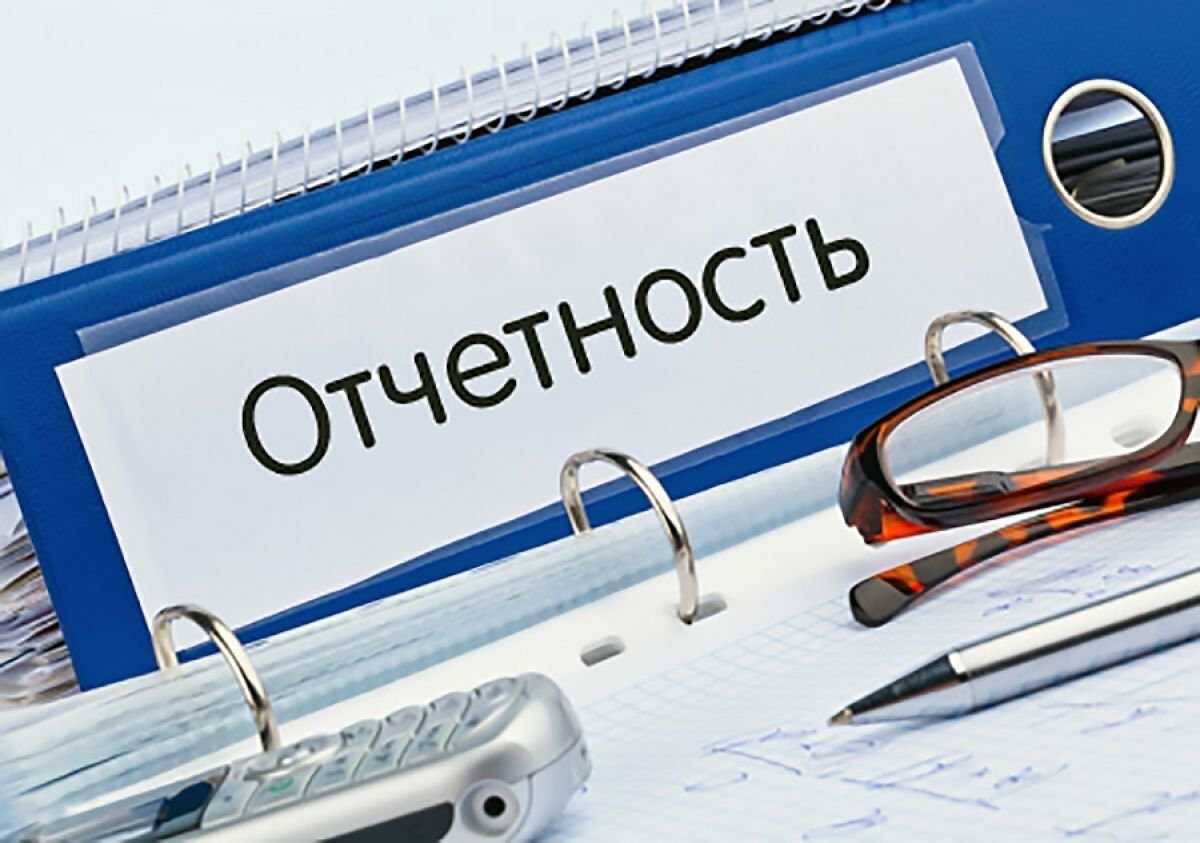 Статистическая отчётность в 2024 году