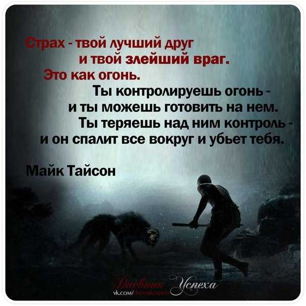 Налоги без страха 2024. незнание порождает страх