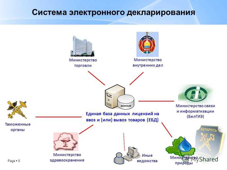 Таможенное декларирование товаров. курсовая работа (т). таможенное право. 2013-06-26