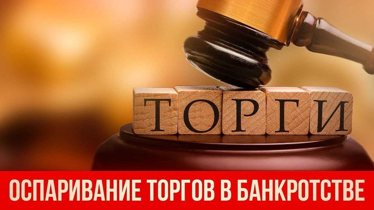 Участие в торгах по банкротству: оспаривание результата торгов