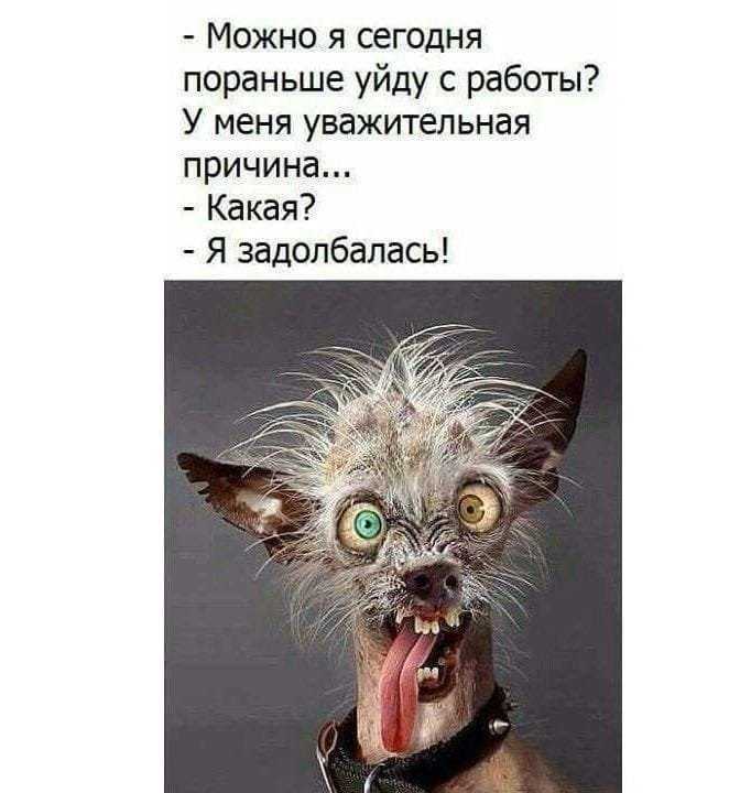 Обед по расписанию поговорка
