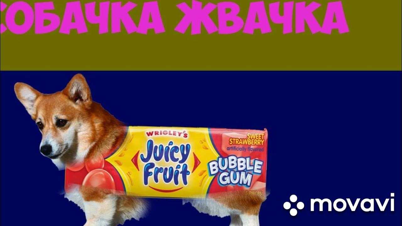 Бухгалтеры изобретательный народ Кроме методологии учёта они дали миру много интересных штук Вы знали, что символ собака за 100 лет до изобретения Интернета использовали в бухгалтерии А что жвачку изобрел бухгалтер рассказывает о том, как это было